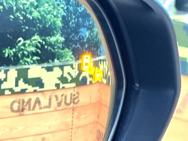 Lexus NX 350h F Sport 4WD — photo 8