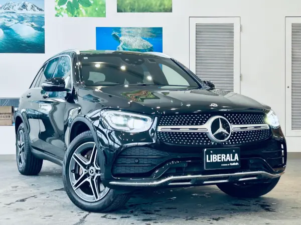 Mercedes-Benz GLC220 d 4MATIC AMG Line Diesel Turbo 4WD — photo 7