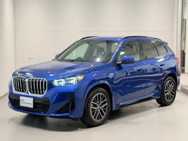 BMW X1 xDrive20d M Sport DCT Diesel Turbo 4WD