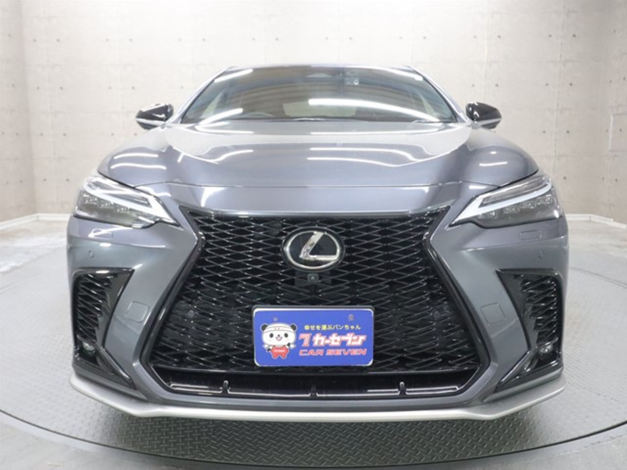 2023 Lexus Nx — photo 3
