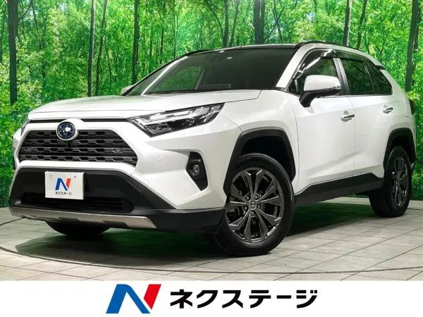 Toyota RAV4 2.5 Hybrid G E-Four 4WD