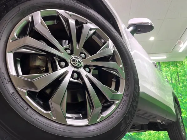 Toyota RAV4 2.5 Hybrid G E-Four 4WD — photo 9
