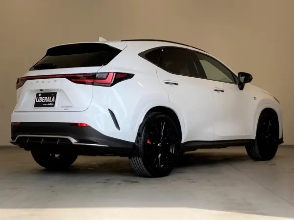 2022 Lexus Nx — photo 3