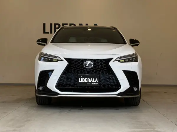 Lexus NX 350h F Sport 4WD — photo 9