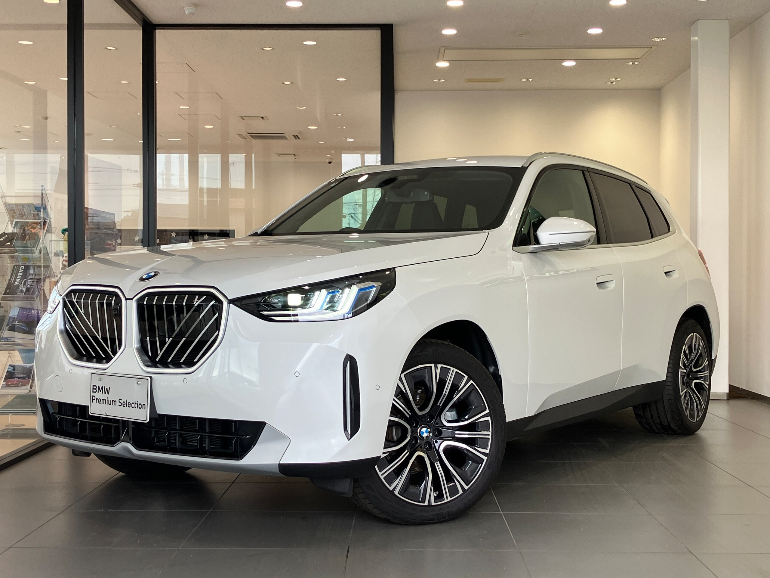 BMW X3 xDrive xLine 4WD Mineral White Black Leather