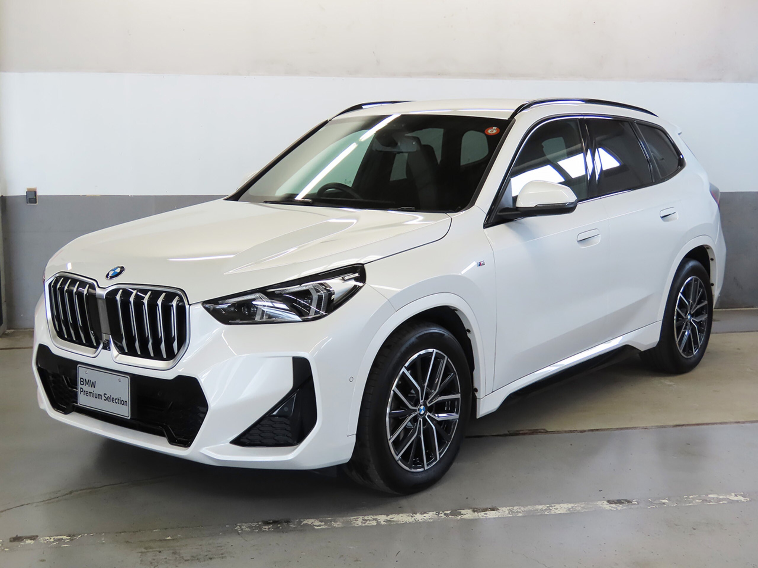 BMW X1 xDrive20d M Sport DCT Diesel Turbo 4WD