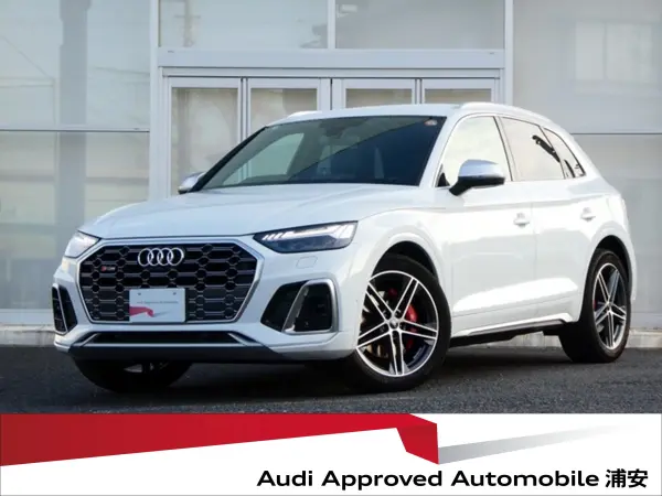 Audi SQ5 3.0 4WD — thumbnail 1