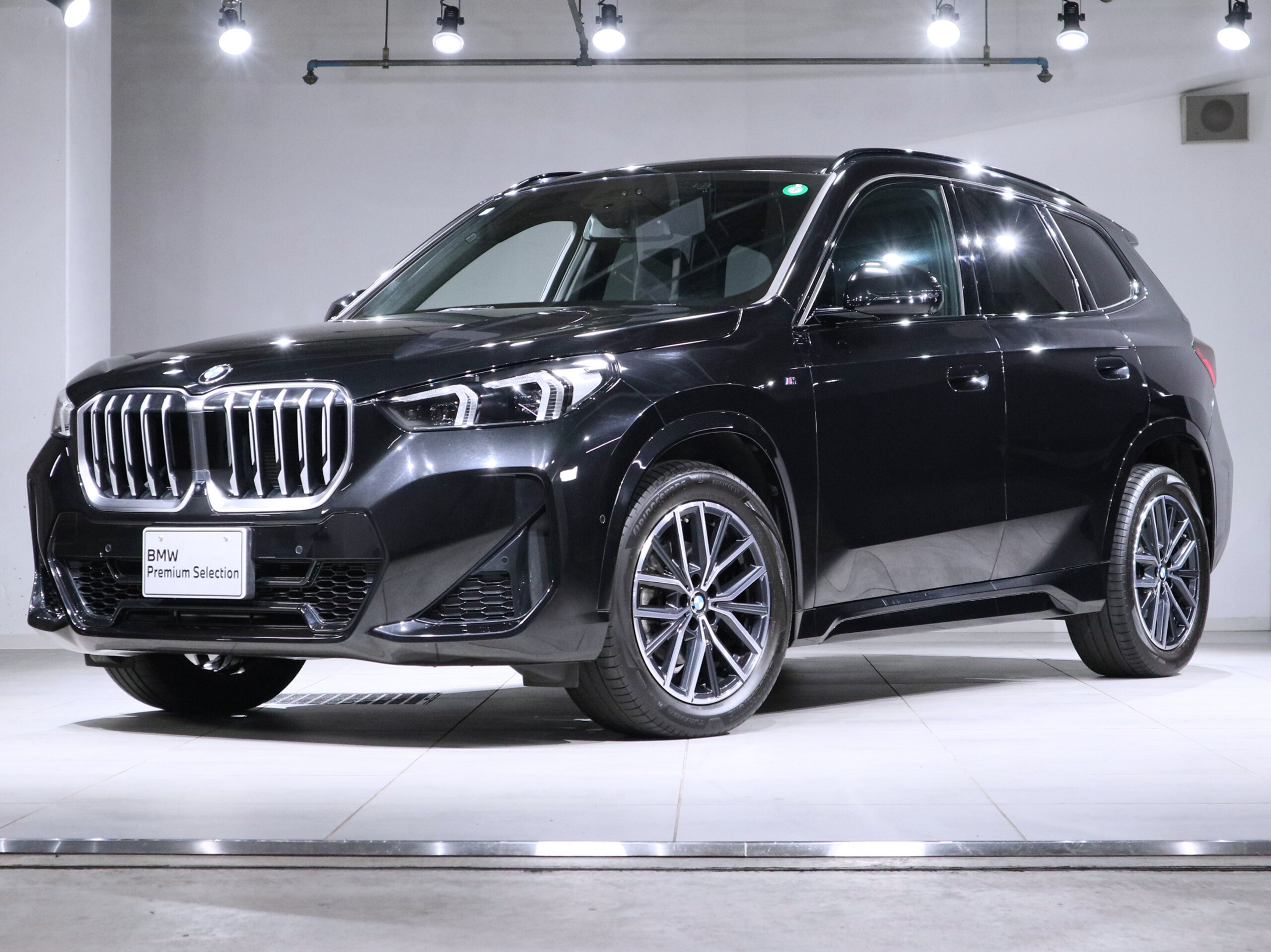 BMW X1 xDrive20d M Sport DCT Diesel Turbo 4WD