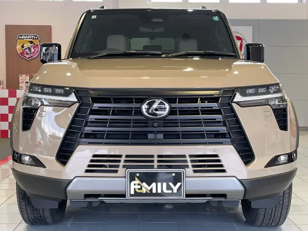 2025 Lexus Gx — photo 2