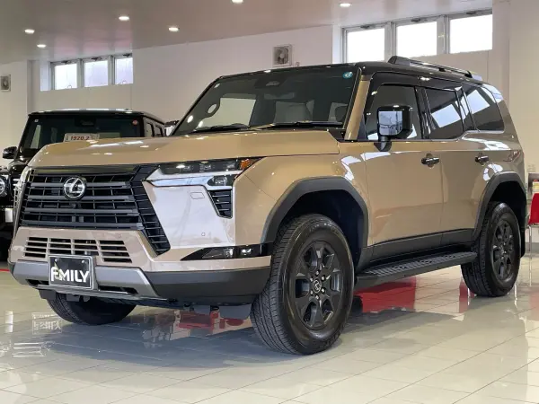 2025 Lexus Gx — photo 3