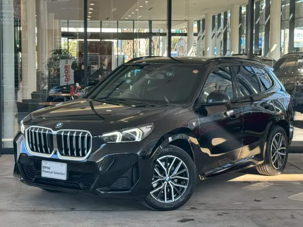 BMW X1 xDrive20d M Sport DCT Diesel Turbo 4WD