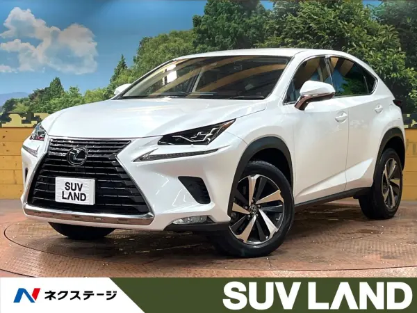 Lexus NX 300 I Package