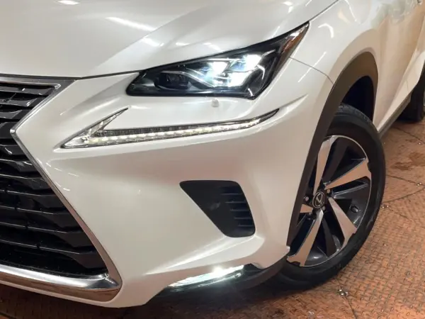Lexus NX 300 I Package — photo 8