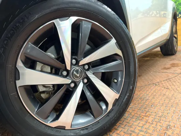 Lexus NX 300 I Package — photo 9