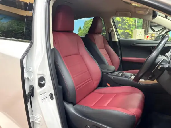 Lexus NX 300 I Package — photo 7