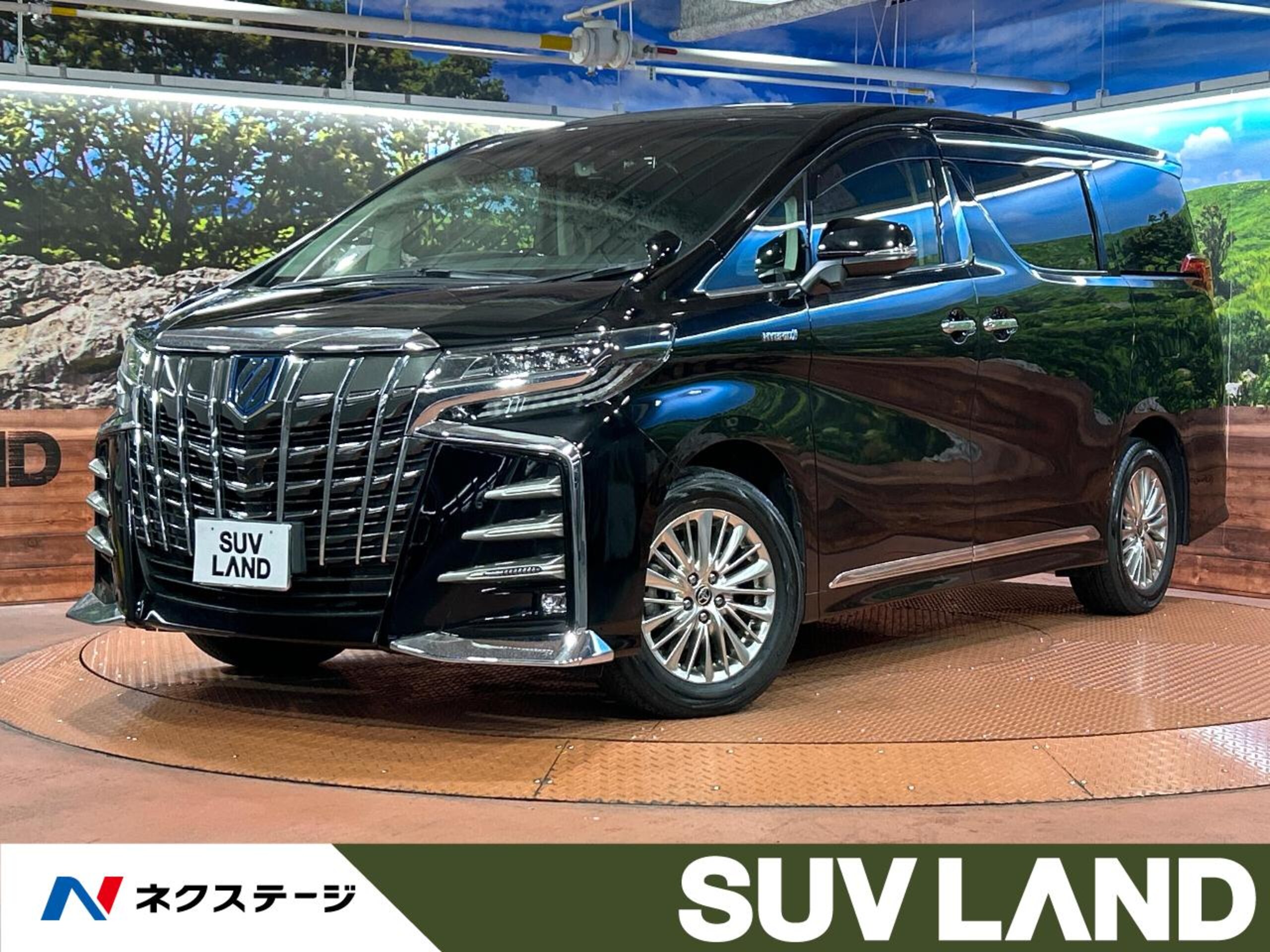 Toyota Alphard Hybrid 2.5 SR C Package E-Four 4WD