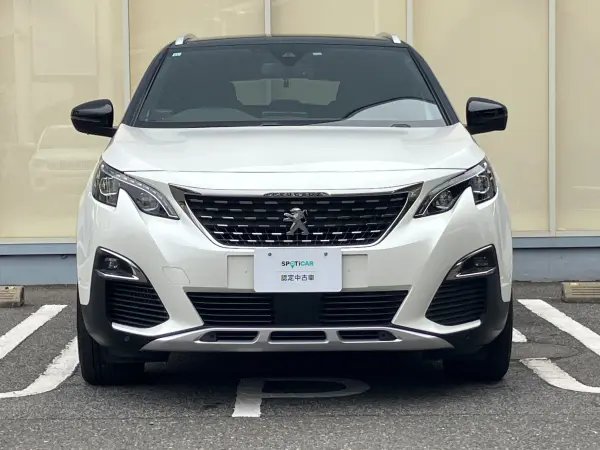 2019 Peugeot 3008 — photo 2