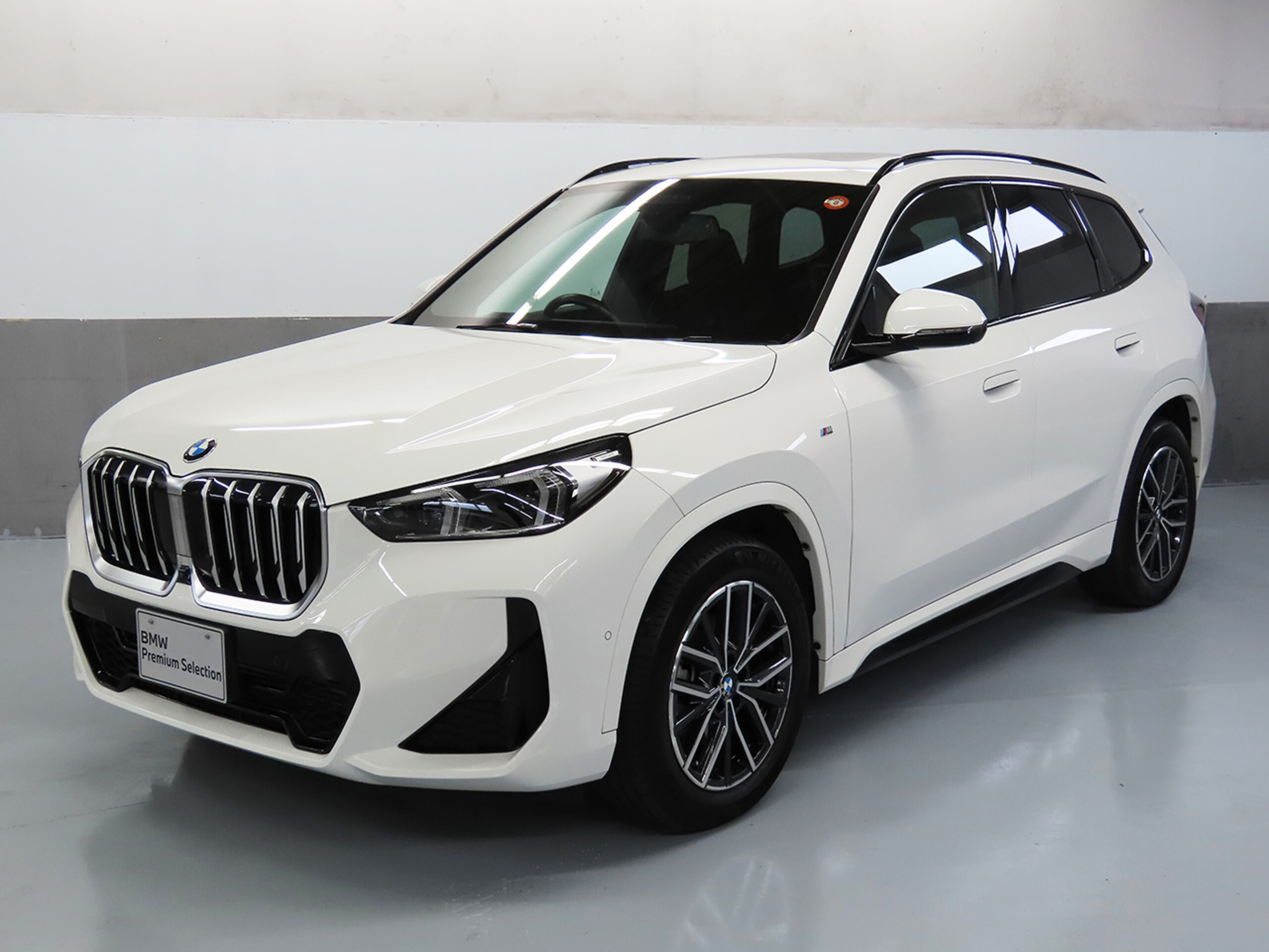 BMW X1 xDrive20d M Sport DCT Diesel Turbo 4WD