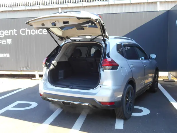 Nissan X-Trail 2.0 20Xi V Selection 2-Row 4WD ProPilot Around View Monitor Seat Heater Power Back Door with Manual Mode Power Seat Memory Navigation (Silver) — photo 9