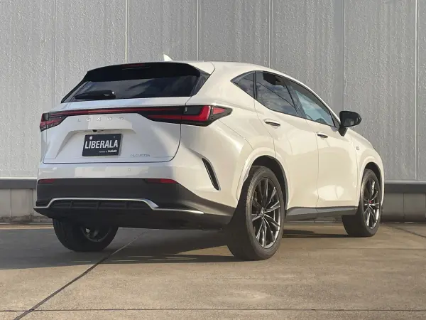 Lexus NX 350h F Sport — photo 8