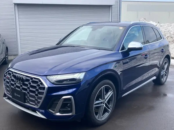 Audi SQ5 3.0 4WD Adaptive S Sport Air Suspension/Comfort Package/360° Camera/ETC/Matrix LED/Gray Leather Seats/Dynamic Steering/Rear Sport Differential/Leather Package/Bang & Olufsen (Dark Blue)