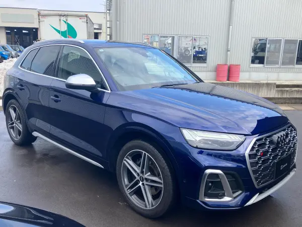 2022 Audi Sq5 — photo 3