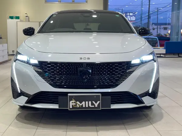 2024 Peugeot 308 — photo 3