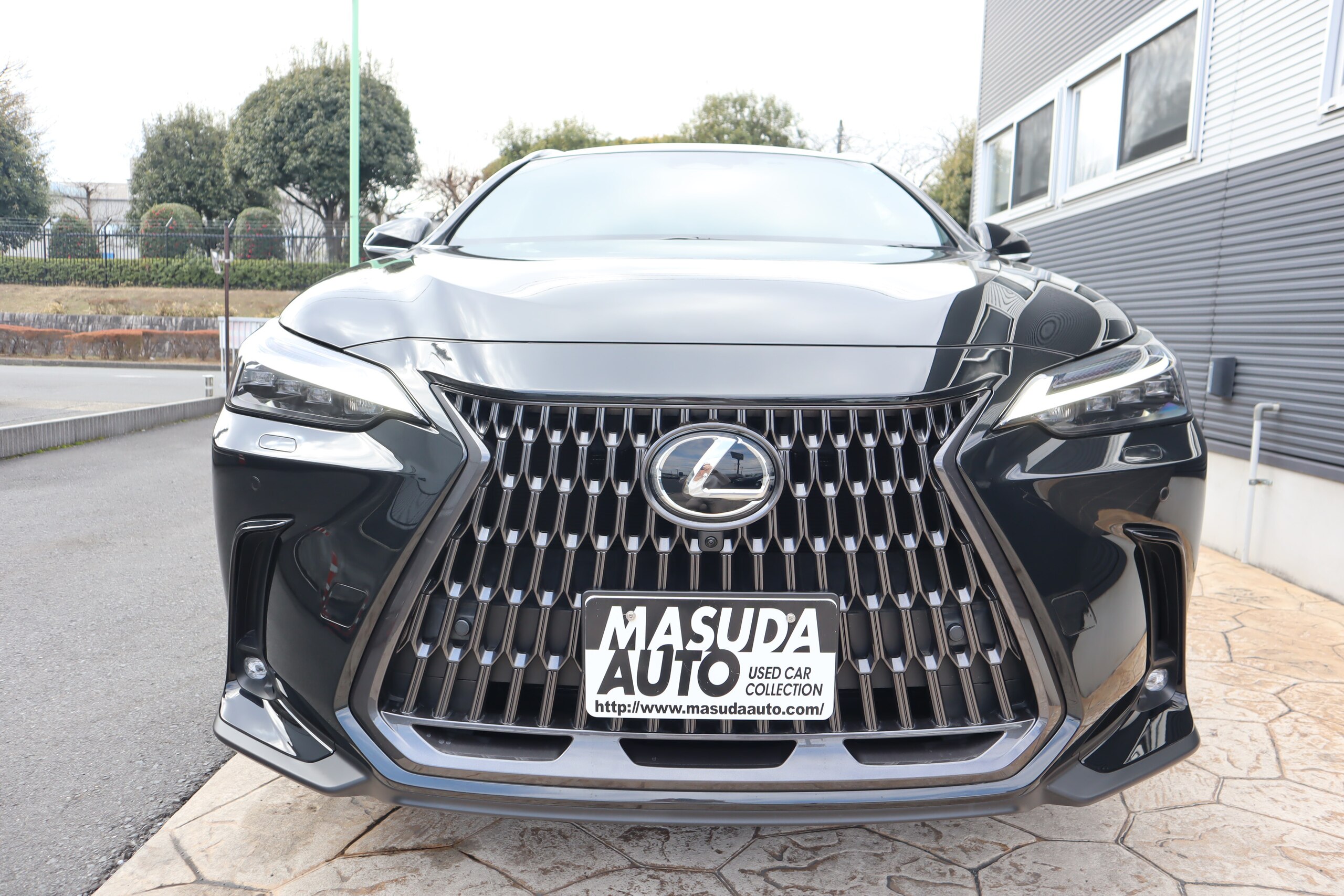 2023 Lexus Nx — photo 2