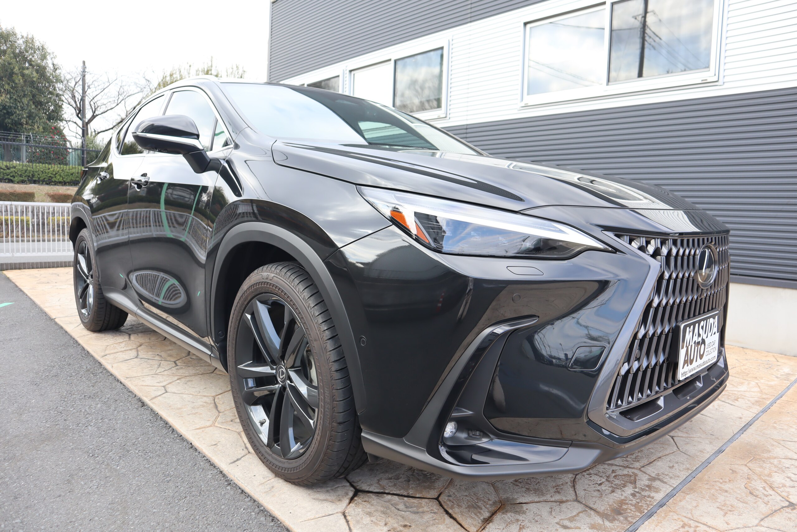 2023 Lexus Nx — photo 3