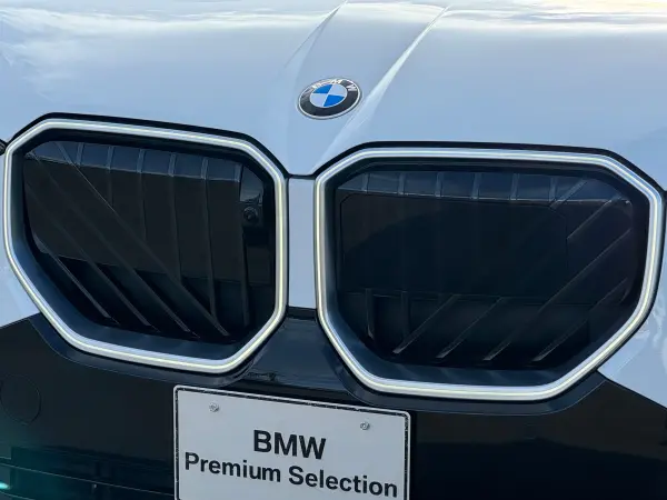 2025 Bmw X3 — photo 3 | Tuminion Kenya