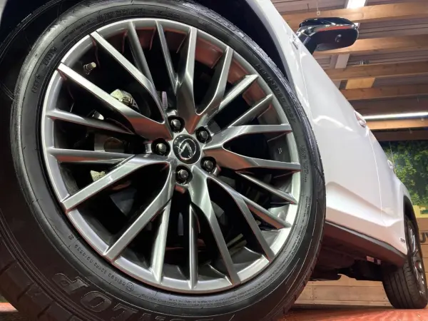 Lexus RX450h F Sport — photo 9