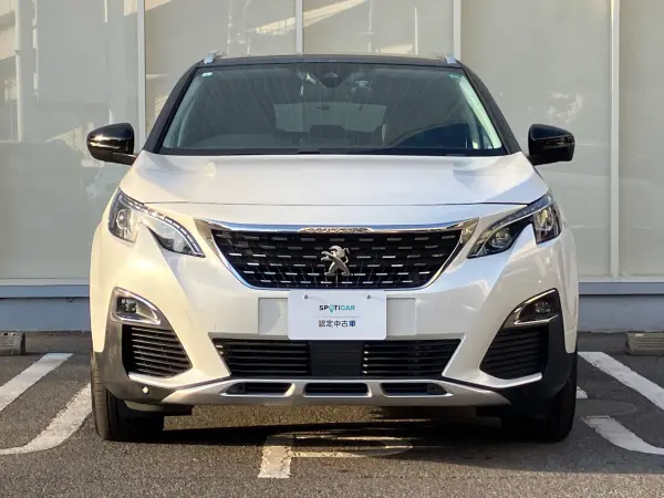2019 Peugeot 3008 — photo 2