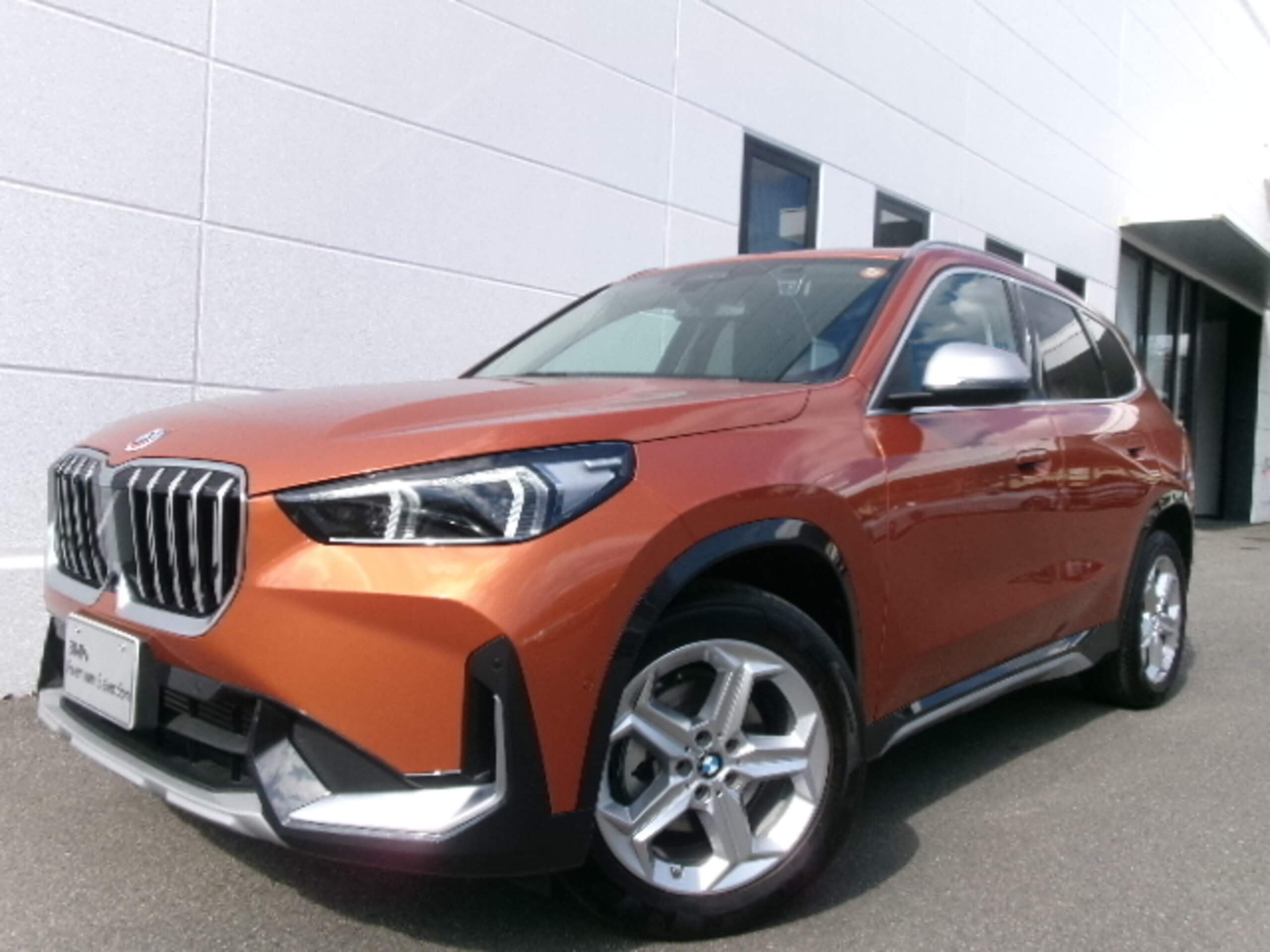 BMW X1 xDrive20d xLine DCT Diesel Turbo 4WD