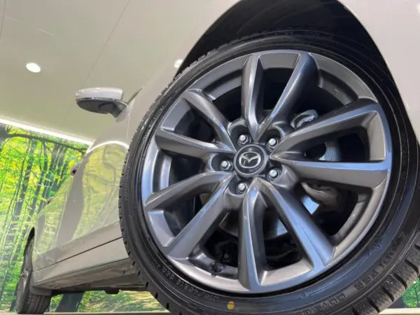 Mazda MAZDA3 Fastback 2.0 20S Proactive Touring Selection — photo 9