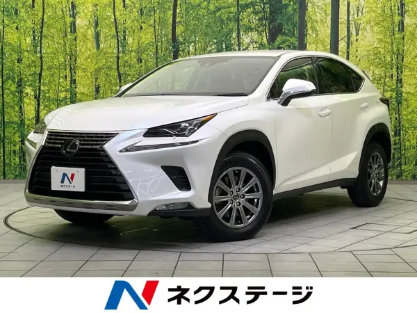 Lexus NX 300 i Package — thumbnail 1