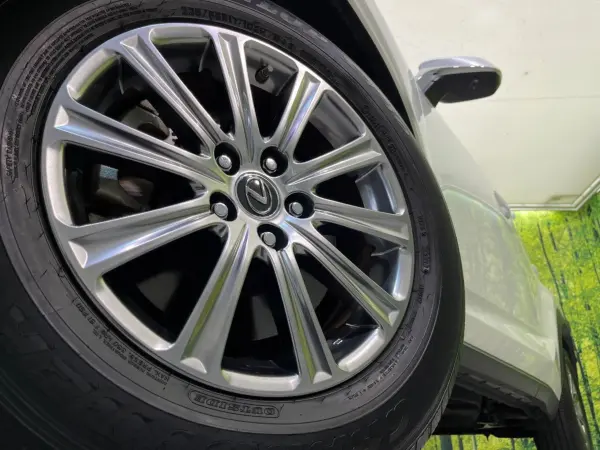 Lexus NX 300 i Package — photo 8