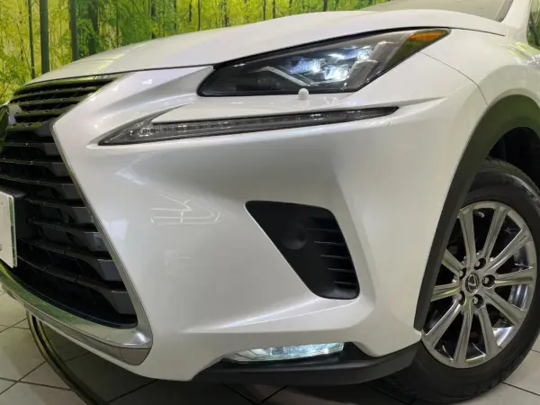 Lexus NX 300 i Package — photo 9