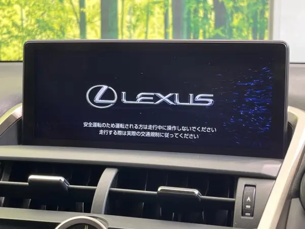 2019 Lexus Nx — photo 3