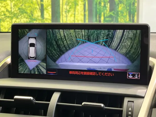 Lexus NX 300 i Package — photo 7