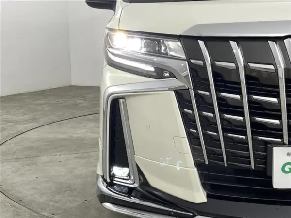 2019 Toyota Alphard — photo 8 | Tuminion Kenya
