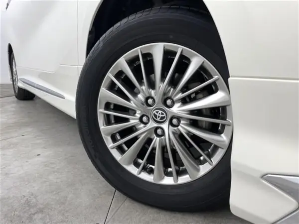 2019 Toyota Alphard — photo 9 | Tuminion Kenya