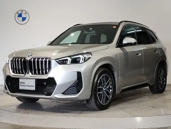 BMW X1 xDrive20i M Sport DCT 4WD