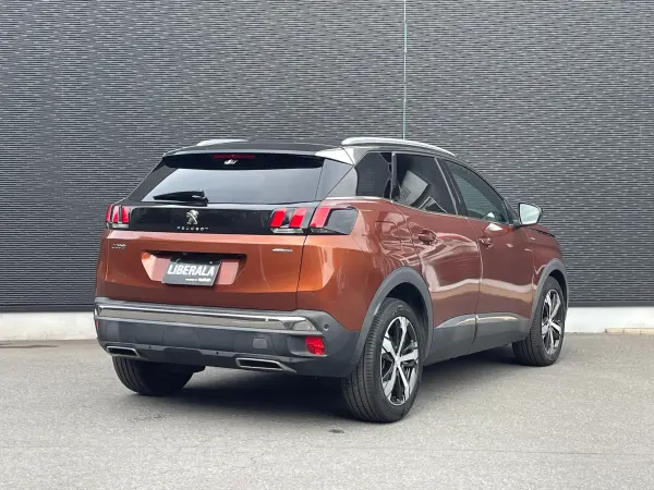 Peugeot 3008 GT Line — photo 9