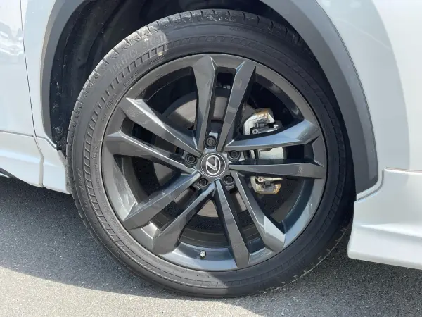 Lexus NX 350h Version L — photo 8