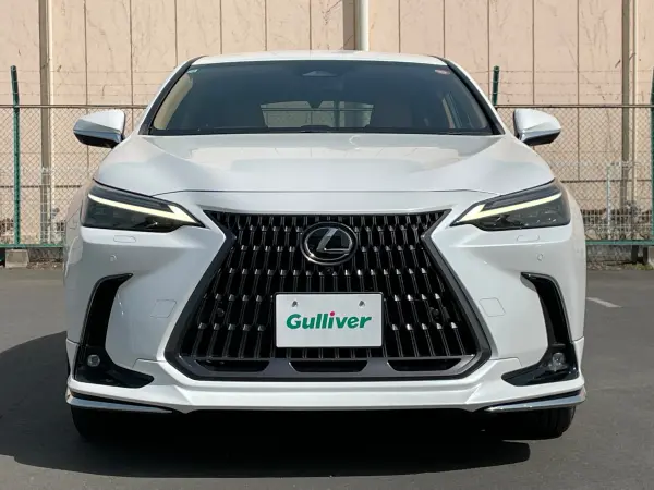 Lexus NX 350h Version L — photo 9