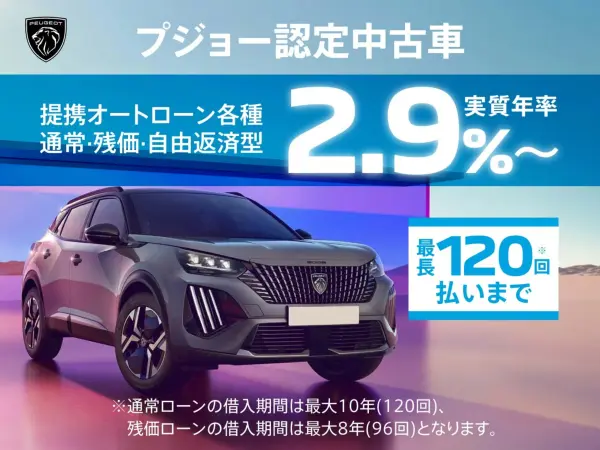 2019 Peugeot 3008 — photo 2