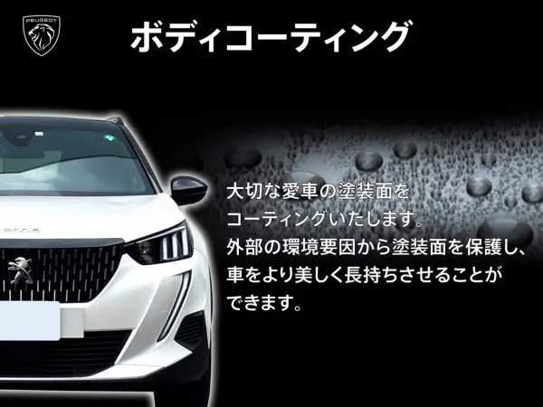 2019 Peugeot 3008 — photo 3