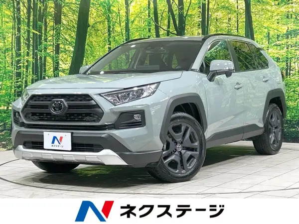 Toyota RAV4 2.0 Adventure 4WD