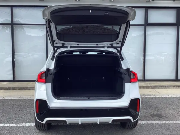 BMW X1 xDrive20d M Sport DCT Diesel Turbo 4WD — photo 7