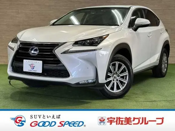 Lexus NX300h I Package